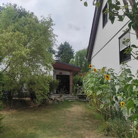 Waldhus Иккериц